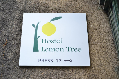 Lacné ubytovanie v Krakove v centre mesta Lemon Tree hostel