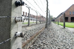 Ostnatný drôt v koncentračnom tábore
