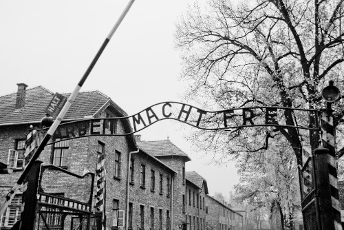 auschwitz koncentračné tábory